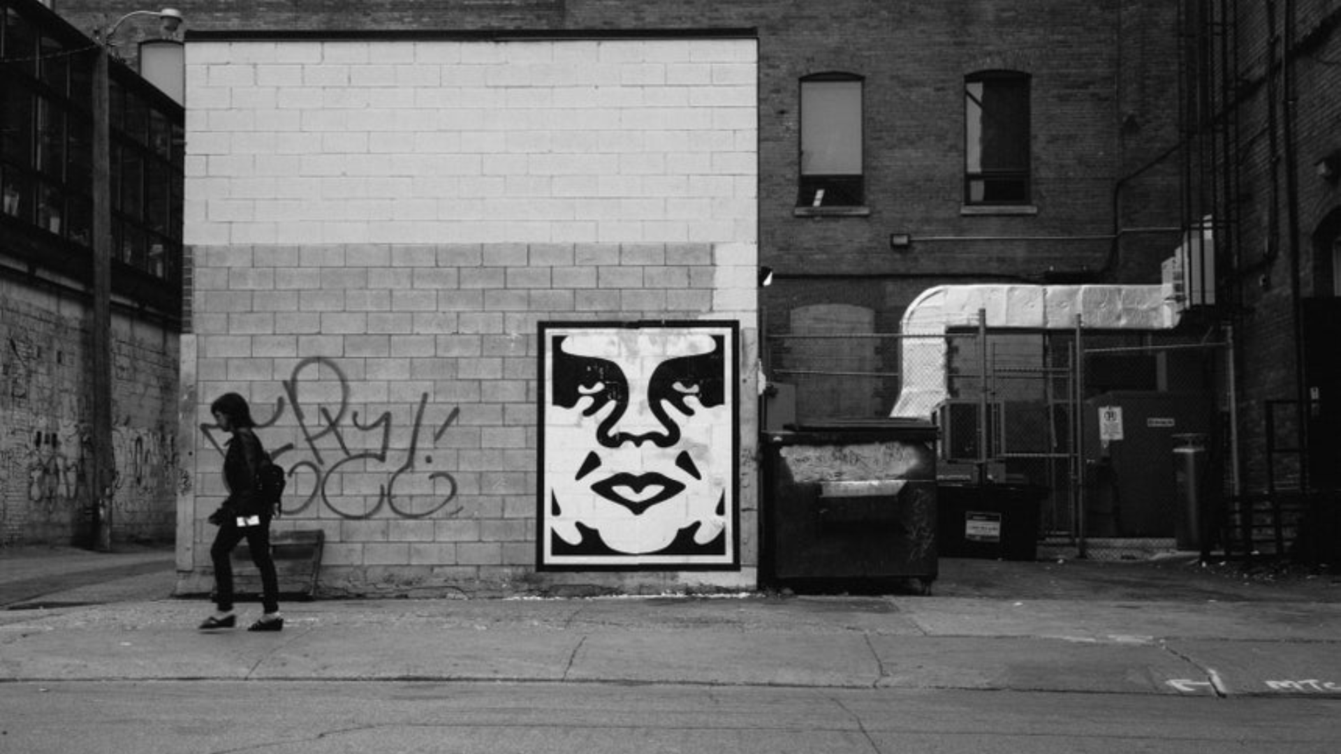 OBEY NEW 2025