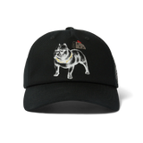 HUF 4 THE DAWGS SNAPBACK HAT BLK