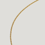 TwoJeys Anchor Chain Gold