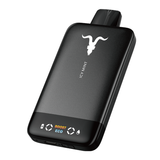 IGNITE V155 SLIM ICY MINT 15.500 PUFFS